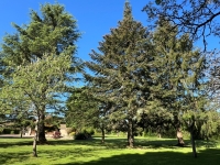 Élégante Longère en Pierre au Cœur d’un Parc Arboré avec Grande Piscine
