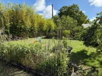 Belle Charentaise Avec 4 Chambres Et Jardin Clos Sur 1433m²