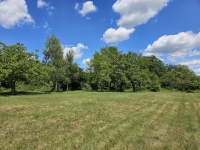 Ensemble Immobilier de Charme avec Maison Principale, Gîte, et Piscine