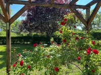Charmant Maison de Campagne avec Dépendance