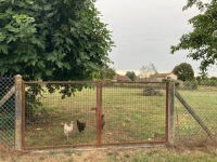 Maison en pierre avec grange, cour et terrain