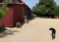 Belle Ferme Rénovée De 5 Chambres et Un Grand Terrain