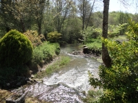 Ancien Moulin Dans Un Cadre Idyllique