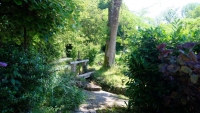 Ancien Moulin Dans Un Cadre Idyllique