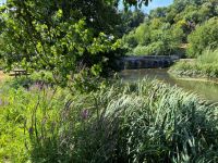 Beautiful Leisure Plot On The Banks Of The River Charente