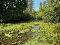 Renovated Flour Mill, Ideally Located in a Peaceful Setting On The River Charente