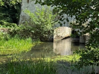 Renovated Flour Mill, Ideally Located in a Peaceful Setting On The River Charente