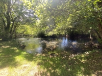 Magnifique Aumônerie avec dépendances et beau jardin Bordure Rivière