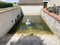 Magnifique Domaine de presque un Hectare avec 3 Chambres, Belle Piscine et Potentiel Pour Gîtes