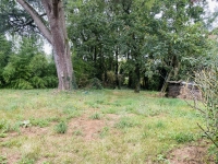 Ancien Corps de Ferme à Blanzay avec Potentiel Pour Faire des Gites