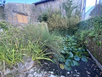 Ancien corps de Ferme avec Grand Terrain et Grandes Dépendances