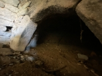 Ancien corps de Ferme avec Grand Terrain et Grandes Dépendances