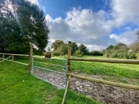 Ancienne Ferme avec Grand Terrain près de Civray