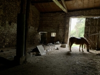 Ancienne Ferme avec Grand Terrain près de Civray