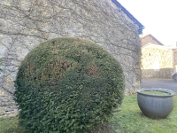 Très Belle Maison et Corps de Ferme près de Villefagnan