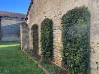 Très Belle Maison et Corps de Ferme près de Villefagnan