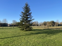 Très Belle Maison et Corps de Ferme près de Villefagnan