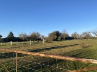 Très Belle Maison et Corps de Ferme près de Villefagnan