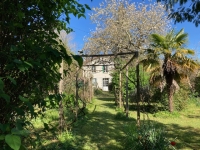 Two-House Property with Wooded Park – Charm & Serenity by the Charente River