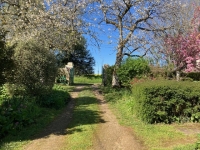 Two-House Property with Wooded Park – Charm & Serenity by the Charente River