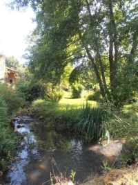 Ancien Moulin Dans Un Cadre Idyllique