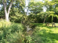 Ancien Moulin Dans Un Cadre Idyllique