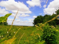 Jolie Maison De Campagne À Finir De Rénover