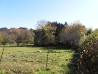 Detached Bungalow With A Pleasant Outlook