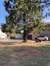 Maison en pierre avec grange, cour et terrain