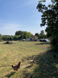 Maison en pierre avec grange, cour et terrain