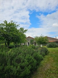 Ensemble Immobilier de Charme avec Maison Principale, Gîte, et Piscine
