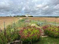 Superbe Maison en Pierre de 4 Chambres avec une Grange Attenante.Vues sur la Campagne et Jardin Clos