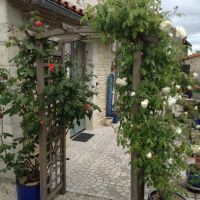 Maison en Pierre avec Studio, Garage et Jardin